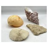 Bag of 4 sea shells & coral