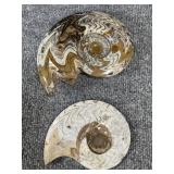 Pair of fossils see pictures for condition box