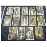 Collection of 14 vintage postcards of waterfalls