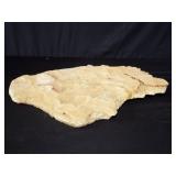 Rock specimen, 17" l. x 11" w. x 2" h.