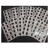 200 Assorted vintage Hollywood celebrity 35mm