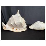 Pair of seashells biggest 10.5?l x 9?d x 8.5?h,