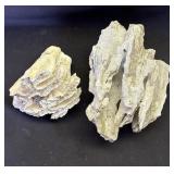 Pair of coral fossil