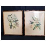 Pair of vintage lithographs