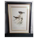 Hand colored lithograph by John Gould