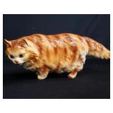 Porcelain red tabby Persian cat