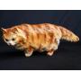 Porcelain red tabby Persian cat