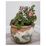 Live plant in handpainted fish & leaf pottery