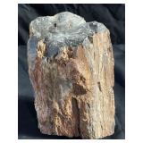 Petrified wood 4"w x 5.5ï¿½h, weight: 3.16 lbs LT