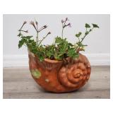 Live plant in glazed sea shell style planter