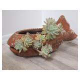 Live succulent in pottery fish planter