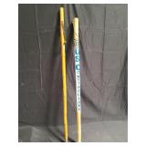 Pair of hiking poles