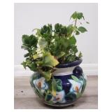 Live plant & succulent combo in handpainted