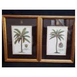 Pair of colored lithograph