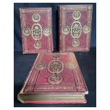 Group of Lï¿½histoire de France books 14.1 lbs box