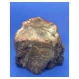 Petrified wood specimen