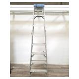 Werner aluminum ladder