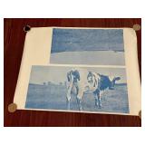 Vintage Pink Floyd Atom Heart Mother poster