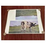 Vintage Pink Floyd Atom Heart Mother poster