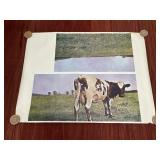 VTG Pink Floyd Atom Heart Mother poster