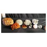 Group of seashells, coral, & quartz