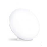 (2) LED therapy lamps