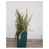 Live plant in glazed pottery planter