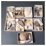 Box of sea shells