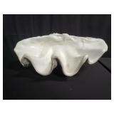 Large fiberglass shell