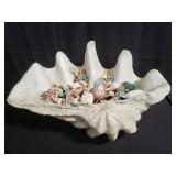 Large fiberglass shell & collection of seashells