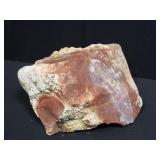 Petrified wood rock specimen