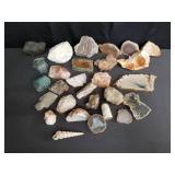 Group of rock specimens and sea shells