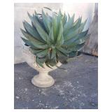 Live plant in cement planter w/detached pedistal.