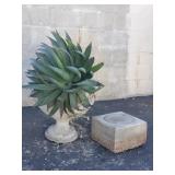 Live plant in cement planter w/detached pedestal