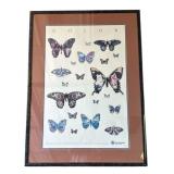 Framed vintage signed Silicon Graphics poster