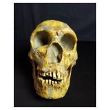 Gary J. Sawyer composite skull