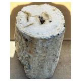 Huge polished petrified wood log