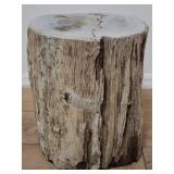 Petrifed wood stump
