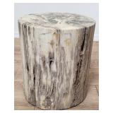 Petrified wood stump