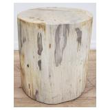 Petrified wood stump