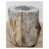 Petrifed wood stump