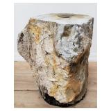 Petrified wood stump