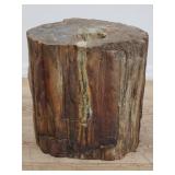 Petrified wood stump