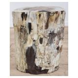 Petrified wood stump