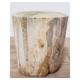 Petrified wood stump