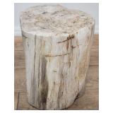 Petrified wood stump