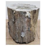 Petrifed wood stump