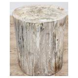Petrified wood stump