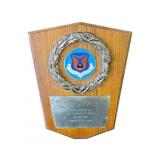 Lou Rawls Outstanding Show award