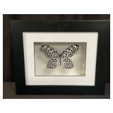 Pencil signed Jennifer Isabeau Ivory